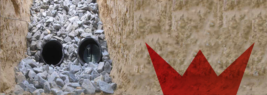 leak prevention mould removal capetown